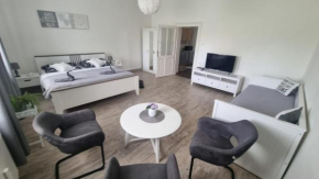Černý Tulipán - Apartmán 4, Plzen